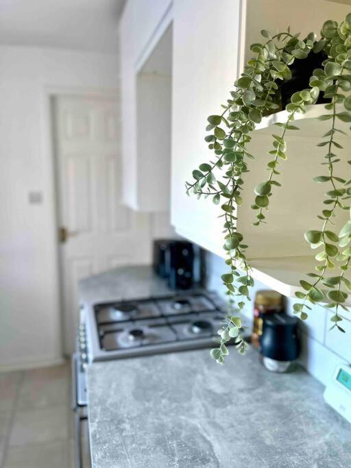 גטשהד Close To City Centre-Quayside Bright Apartment מראה חיצוני תמונה